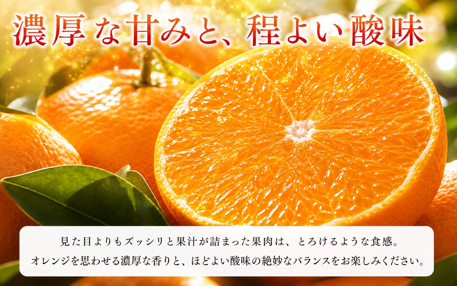 とろける食感！ジューシー柑橘　せとか　約3kg【予約】※2027年2月下旬頃～3月中旬頃発送(お届け日指定不可)【uot506B】