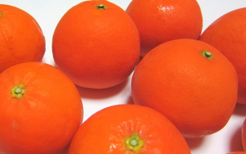 有田育ちの爽快セミノールオレンジ(ご家庭用)　約1kg+200g(補償分)【2027年4月上旬～5月下旬頃に順次発送予定】【ard210A】