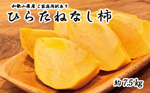 【2026年発送分予約】 【ご家庭用わけあり】和歌山秋の味覚　平核無柿（ひらたねなしがき）　約7.5kg	※2026年10月上旬頃～11月上旬頃に順次発送（お届け日指定不可）【uot718B】