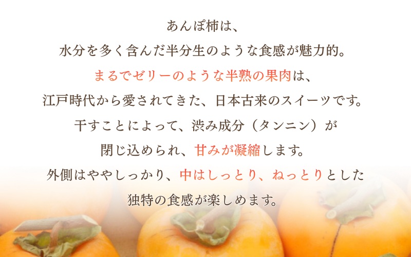 【お試し用】あんぽ柿用渋柿たねなし渋柿　約1.5～2kg（6～12玉）-AP【2026年10月下旬頃から随時発送(日付指定不可)】【art018B】