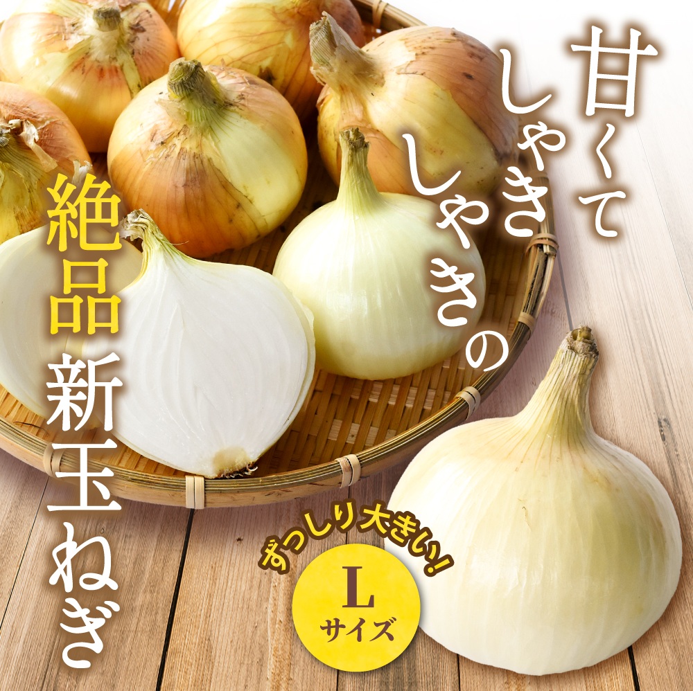和歌山県産新玉ねぎ約10kg　Lサイズ 約25個入り　こだわり農家厳選！【2026年4月末頃～6月中旬に発送予定】 | 人気 おすすめ たまねぎ 玉ねぎ 玉葱 タマネギ オニオン スープ サラダ 国産 野菜 新鮮 ビッグサイズ 大きい BBQ【kgr033】