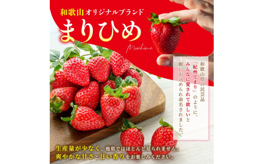 【先行予約】まりひめ いちご 12粒～15粒入り×2パック（500g）2027年1月中旬頃～2027年3月下旬頃に順次発送予定（お届け日指定不可） | いちご 苺 まりひめ 和歌山 フルーツ 果物 くだもの【kgr007B】
