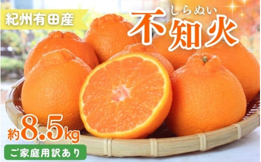 【ご家庭用訳あり】紀州有田産不知火(しらぬひ) 約8.5kg 【予約】※2027年2月中旬頃～3月中旬頃に順次発送予定(お届け日指定不可)【uot507B】