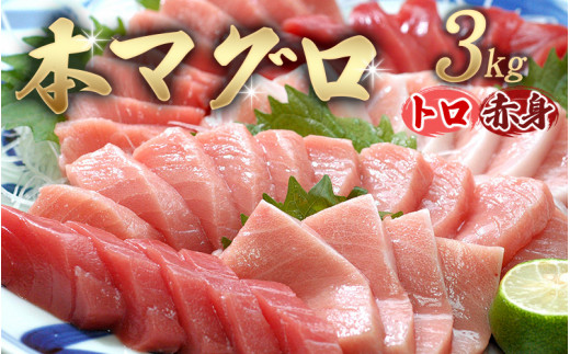 本マグロ（養殖） トロ＆赤身セット 3kg ☆北山村人気No1☆【通常発送】 | まぐろ マグロ 本マグロ 鮪 中トロ 赤身 柵 刺身 お刺身 人気 海鮮 海産物 鮮魚 魚 じゃばらまぐろ まぐろ丼【nks112】
