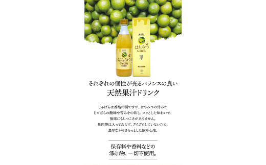 はちみつじゃばら 500ml×2本