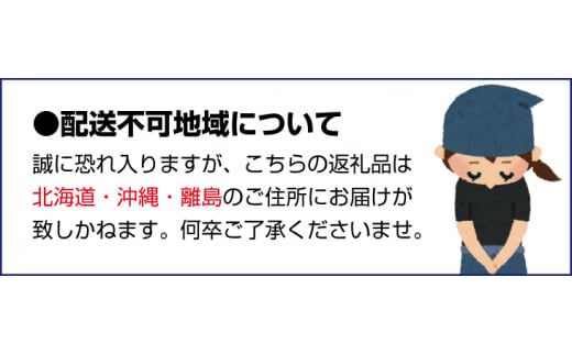 厳選キウイフルーツ5kg+250g（傷み補償分）【ikd133D】