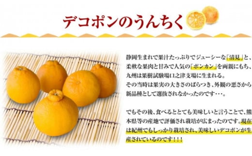 田村産「デコ」不知火[約2.8kg]湯浅町田村産春みかん(果実サイズおまかせ)/紀伊国屋文左衛門本舗　※2027年2月中旬～3月下旬頃に順次発送予定(お届け日指定不可)【ntb493B】