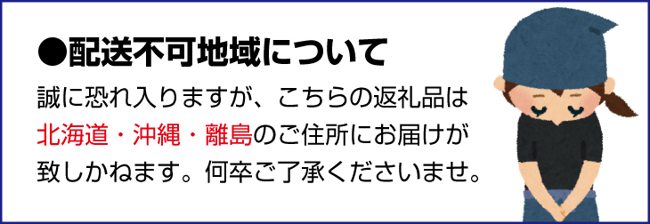 かつらぎ町産　シャインマスカット 約3kg（4房）【2026年8月中旬～9月中旬ごろ順次発送】※日付指定不可 【ikd731A】