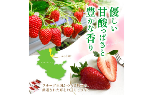 【先行予約】まりひめ いちご 12粒～15粒入り×4パック（1kg）2027年1月中旬頃～2027年3月下旬頃に順次発送予定（お届け日指定不可） | いちご 苺 まりひめ 和歌山 フルーツ 果物 くだもの【kgr008B】