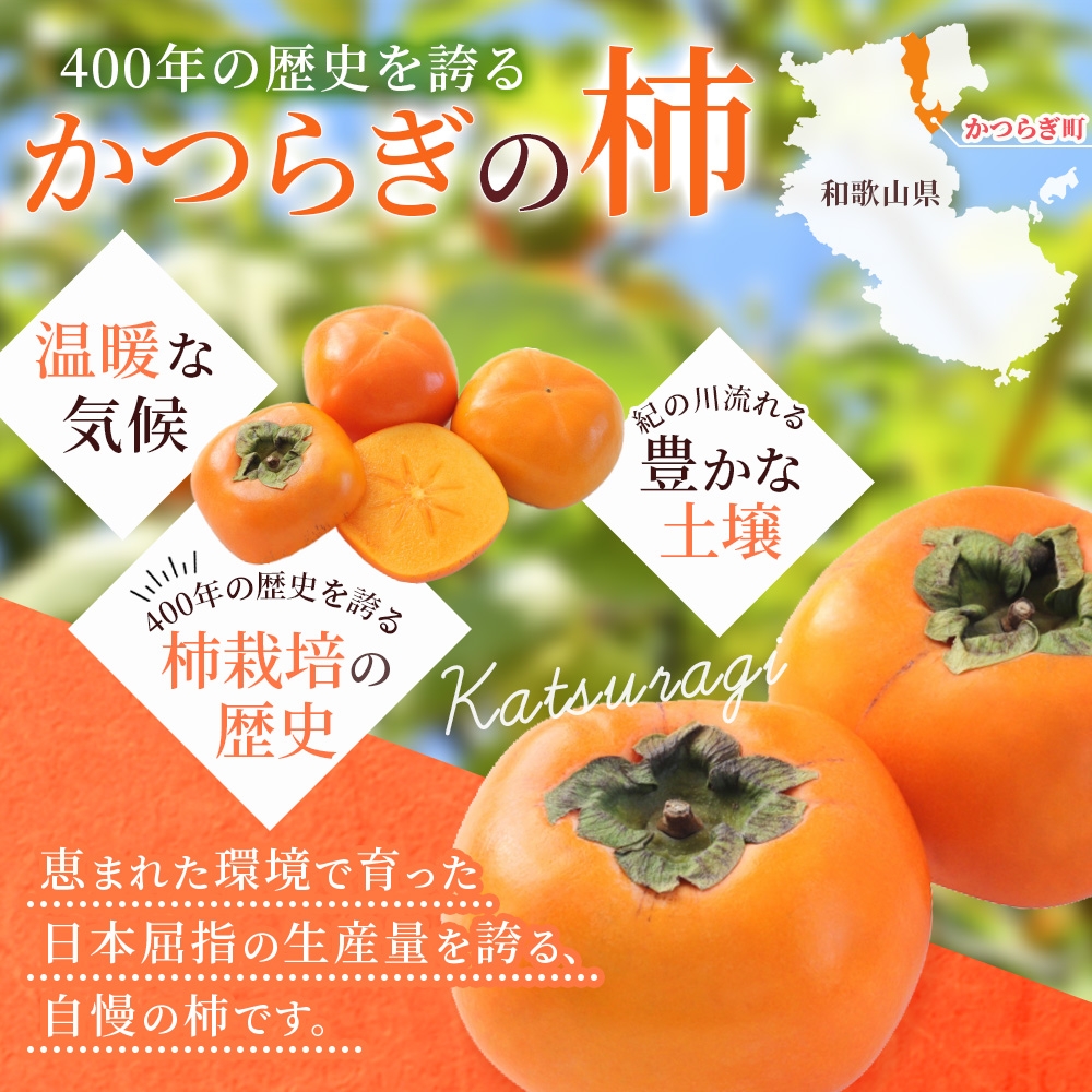 【先行予約】富有柿?2~2.5kg?6個入?至高の逸品?約1000個に１個！ 2026年10月末から11月末頃に順次発送予定（お届け日指定不可）| 和歌山 柿 かき フルーツ 果物 くだもの 刀根 種無し【kgr013】