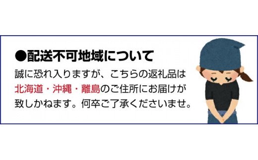 【2026年秋頃発送予約分】＼光センサー選別／ 【農家直送】こだわりの極早生みかん 約2kg 【数量限定】 有機質肥料100% サイズ混合 ※2026年10月～11月に順次発送予定（お届け日指定不可） 有田産【nuk170B】 