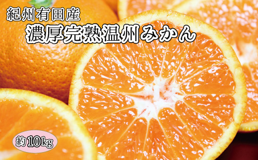 完熟有田みかん　10kg　※2026年11月下旬～2027年1月下旬頃に順次発送予定(お届け日指定不可)