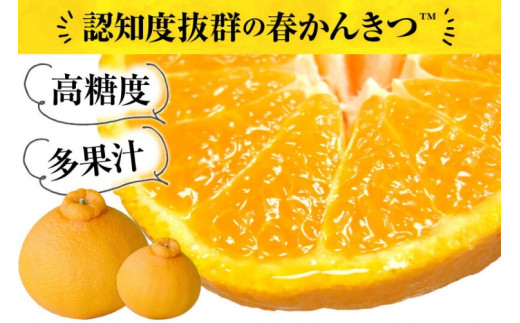 田村産「デコ」不知火[約2.8kg]湯浅町田村産春みかん(果実サイズおまかせ)/紀伊国屋文左衛門本舗　※2027年2月中旬～3月下旬頃に順次発送予定(お届け日指定不可)【ntb493B】