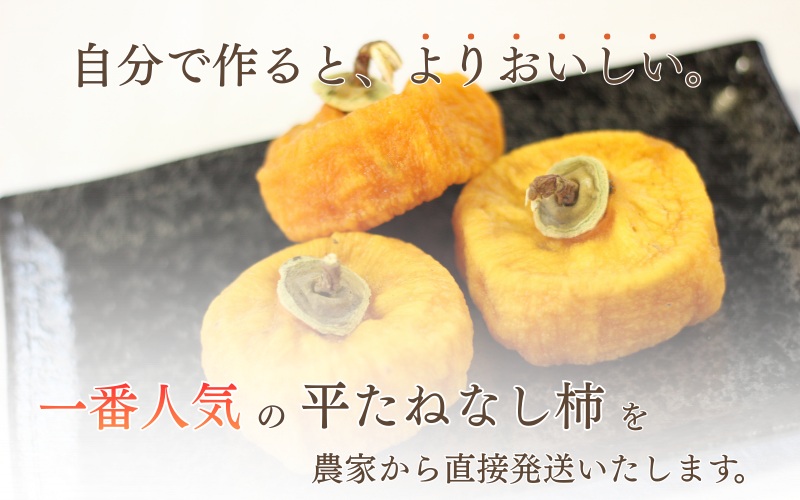 【お試し用】あんぽ柿用渋柿たねなし渋柿　約1.5～2kg（6～12玉）-AP【2026年10月下旬頃から随時発送(日付指定不可)】【art018B】