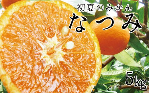 初夏のみかん　なつみ5kg【予約】※2027年4月中旬頃～2027年4月末頃に順次発送予定(お届け日指定不可)【uot501A-2】