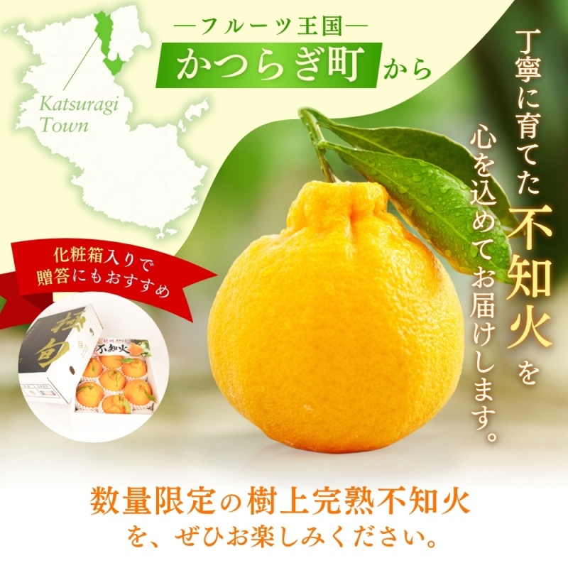 【先行予約】【数量わずか】樹上完熟しらぬい（不知火） 5個~8個 秀品 ※2027年2月末～3月末頃に順次発送予定（お届け日指定不可） | 和歌山 みかん しらぬい 不知火 フルーツ 柑橘 蜜柑 果物 くだもの【kgr014】