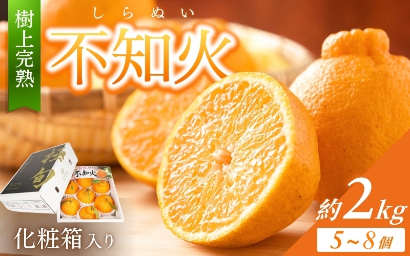【先行予約】【数量わずか】樹上完熟しらぬい（不知火） 5個~8個 秀品 ※2027年2月末～3月末頃に順次発送予定（お届け日指定不可） | 和歌山 みかん しらぬい 不知火 フルーツ 柑橘 蜜柑 果物 くだもの【kgr014】