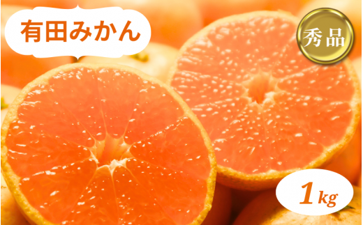 和歌山県産 有田みかん 1kg 秀品　※2026年10月中旬~2027年1月中旬頃に順次発送予定（お届け日指定不可）【ミカン 有田みかん 和歌山 有田 秀品】【smt003A】