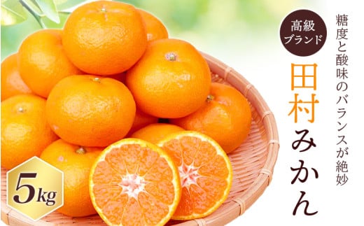 みかん 高級ブランド 田村みかん 5kg【予約】 ※2026年11月下旬～2027年1月下旬頃に順次発送予定 / みかん ミカン 有田みかん 温州みかん 田村みかん ブランドみかん フルーツ 果物 くだもの 柑橘【uot504B】