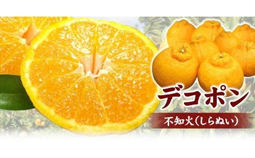田村産「デコ」不知火[約2.8kg]湯浅町田村産春みかん(果実サイズおまかせ)/紀伊国屋文左衛門本舗　※2027年2月中旬～3月下旬頃に順次発送予定(お届け日指定不可)【ntb493B】
