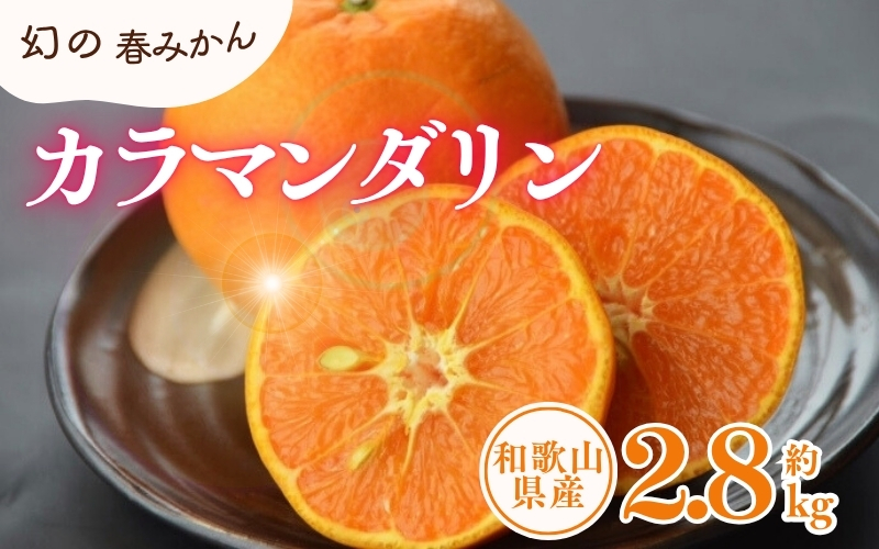 カラマンダリン 約2.8kg/サイズおまかせ　※2027年4月上旬～2027年5月上旬頃に順次発送予定(お届け日指定不可)　紀伊国屋文左衛門本舗【ntb471C】