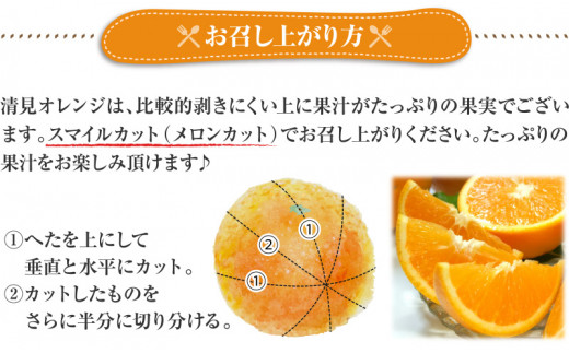 清見オレンジ約5kg / 果実サイズおまかせ ※2027年2月中旬～2027年4月下旬頃発送予定　紀伊国屋文左衛門本舗【ntb400B】