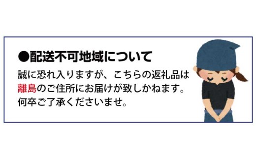 【産地直送】和歌山産小玉すいか「ひとりじめ7(セブン)」2玉入り　3.5kg以上 ※2027年6月下旬～7月中旬頃から順次発送【tec501D】
