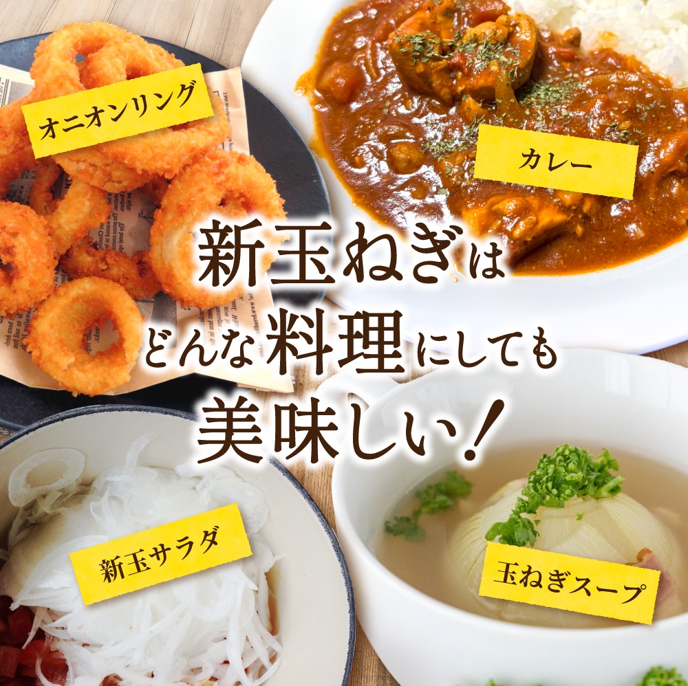 和歌山県産新玉ねぎ約10kg　Lサイズ 約25個入り　こだわり農家厳選！【2026年4月末頃～6月中旬に発送予定】 | 人気 おすすめ たまねぎ 玉ねぎ 玉葱 タマネギ オニオン スープ サラダ 国産 野菜 新鮮 ビッグサイズ 大きい BBQ【kgr033】