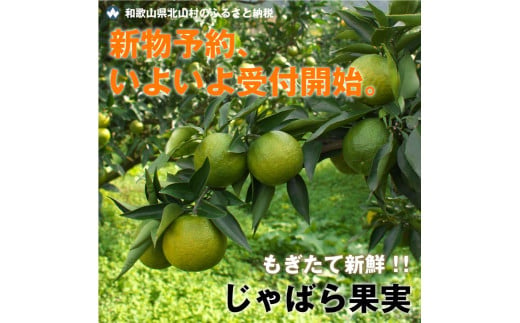 【期間限定】じゃばら果実 3キロ＋約300g (傷み保証分) 【予約受付/11月下旬より順次発送】【njb182A】
