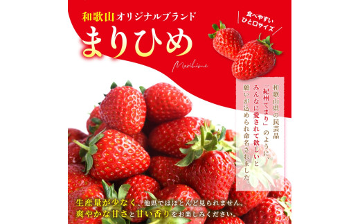 【先行予約】まりひめイチゴ4パック 食べやすいひと口サイズ M～L（15粒～20粒入×4パック）【2027年1月中旬～3月下旬頃に順次発送】（お届け日指定不可） | いちご 苺 まりひめ 和歌山 フルーツ 果物 くだもの【kgr034】
