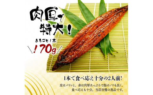うなぎ ウナギ 鰻 大型サイズ ふっくら柔らか 国産 うなぎ蒲焼き 約170g×1尾 タレ付き / うなぎ ウナギ 鰻 うなぎの蒲焼 ウナギの蒲焼 鰻の蒲焼き 国産うなぎ 魚介 魚介類 うなぎ丼 うな重 ひつまぶし 人気