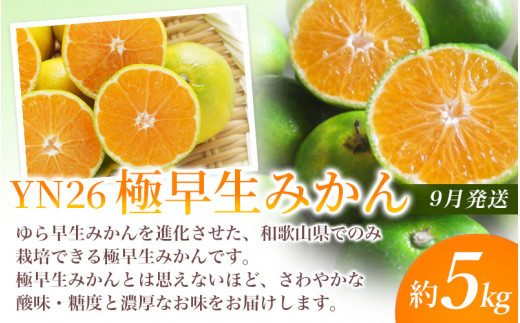 【定期便】夏の人気フルーツ定期便！桃・ピオーネ・極早生みかん（全3回）/ フルーツ 果物 もも モモ ぶどう ブドウ みかん ミカン 柑橘 旬 定期便  【tkb153】