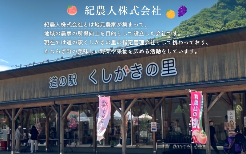【先行予約】【数量わずか】樹上完熟しらぬい（不知火） 5個~8個 秀品 ※2027年2月末～3月末頃に順次発送予定（お届け日指定不可） | 和歌山 みかん しらぬい 不知火 フルーツ 柑橘 蜜柑 果物 くだもの【kgr014】