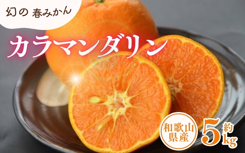 カラマンダリン 約5kg/サイズおまかせ　※2027年4月上旬～2027年5月上旬頃に順次発送予定(お届け日指定不可)　紀伊国屋文左衛門本舗【ntb470A】