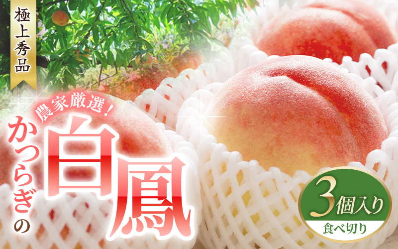 【予約受付】 桃の王様 白鳳 <特秀品> うれしい食べきり容量 3玉 【2027年6月20日頃～順次発送予定】（お届け日指定不可）/ 桃 もも モモ 白鳳 フルーツ 果物 くだもの 旬 人気 産地直送 甘い 【kgr010】