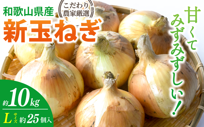 和歌山県産新玉ねぎ約10kg　Lサイズ 約25個入り　こだわり農家厳選！【2026年4月末頃～6月中旬に発送予定】 | 人気 おすすめ たまねぎ 玉ねぎ 玉葱 タマネギ オニオン スープ サラダ 国産 野菜 新鮮 ビッグサイズ 大きい BBQ【kgr033】