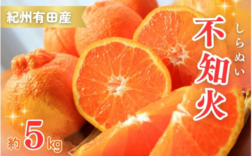 先行予約 紀州有田産不知火(しらぬひ) 約5kg ＜2027年2月下旬頃～3月中旬頃発送＞ みかん 柑橘類【uot709B】