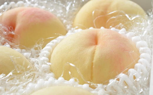 【農園直送】朝採れ和歌山の桃　約4kg・秀品【2027年度発送分】※2027年6月下旬～2027年8月上旬頃順次発送【tec911B】