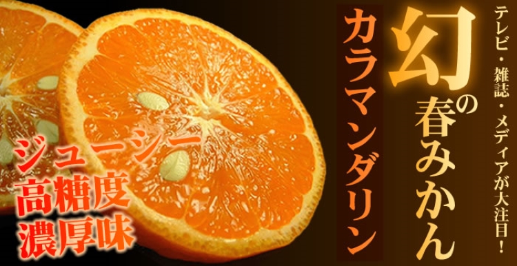 カラマンダリン 約5kg/サイズおまかせ　※2027年4月上旬～2027年5月上旬頃に順次発送予定(お届け日指定不可)　紀伊国屋文左衛門本舗【ntb470A】
