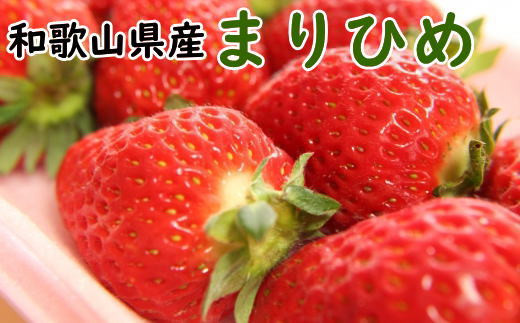 【2027年3月より順次発送】和歌山県産ブランドいちご「まりひめ」約300g×2パック入り ※2027年3月上旬～3月下旬順次発送予定（お届け日指定不可）【tec965A-3】