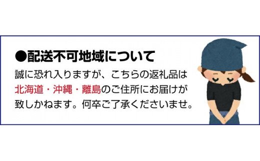 【2026年度発送分】【新鮮・産直】和歌山かつらぎ町産たねなしピオーネ約2kg ※2026年8月中旬～2026年9月下旬頃に順次発送予定【tec500B】