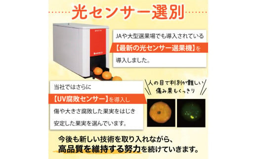 【2026年秋頃発送予約分】＼光センサー選別／ 【農家直送】こだわりの極早生みかん 約10kg 【数量限定】 有機質肥料100% サイズ混合 ※2026年10月～11月に順次発送予定（お届け日指定不可） 有田産【nuk135E】 