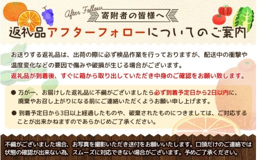 厳選キウイフルーツ5kg+250g（傷み補償分）【ikd133D】