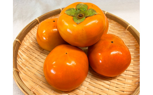 和歌山秋の味覚　富有柿　約7.5kg【uot702B】