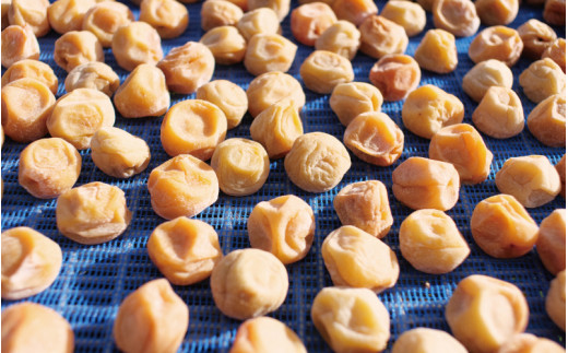 梅干し 無添加 完熟南高梅 1.25kg 塩分約20％ 数量限定 サイズ混合 高評価 ご家庭用 梅干 梅 うめ ウメ 梅干 白干 白干し 白梅 白梅干し 人気 健康 ご飯のお供 お取り寄せ 予約 和歌山県 北山村【最短翌日～3営業日以内に発送予定】【njb647-1A】