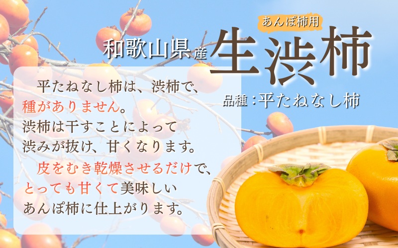 【お試し用】あんぽ柿用渋柿たねなし渋柿　約1.5～2kg（6～12玉）-AP【2026年10月下旬頃から随時発送(日付指定不可)】【art018B】