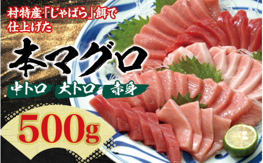 本マグロ（養殖） トロ＆赤身セット 500g 【１ヶ月以内に順次発送】☆北山村人気No1☆ | まぐろ マグロ 本マグロ 鮪 中トロ 赤身 柵 刺身 お刺身 人気 海鮮 海産物 鮮魚 魚 じゃばらまぐろ まぐろ丼 【nks110E】