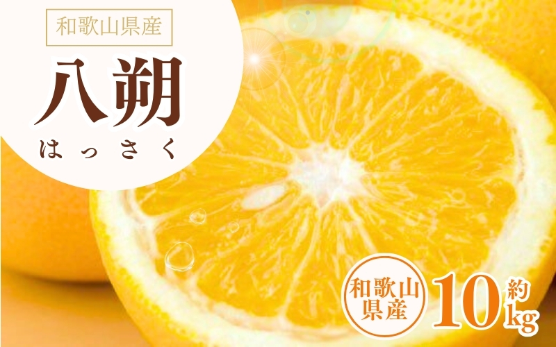 八朔(はっさく)約10kg サイズおまかせ　紀伊国屋文左衛門本舗 ※2027年1月下旬～2027年4月上旬頃発送予定【ntb411C】