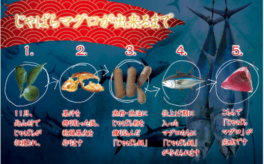 本マグロ（養殖） トロ＆赤身セット 3kg ☆北山村人気No1☆【通常発送】 | まぐろ マグロ 本マグロ 鮪 中トロ 赤身 柵 刺身 お刺身 人気 海鮮 海産物 鮮魚 魚 じゃばらまぐろ まぐろ丼【nks112】