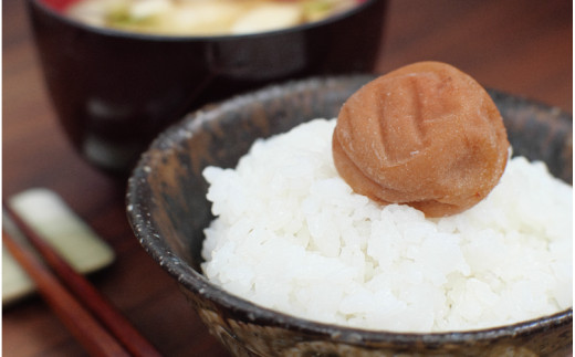 梅干し 無添加 完熟南高梅 1.25kg 塩分約20％ 数量限定 サイズ混合 高評価 ご家庭用 梅干 梅 うめ ウメ 梅干 白干 白干し 白梅 白梅干し 人気 健康 ご飯のお供 お取り寄せ 予約 和歌山県 北山村【最短翌日～3営業日以内に発送予定】【njb647-1A】
